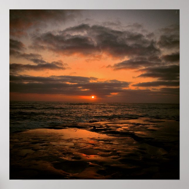 Sunny San Diego Poster (Framsidan)