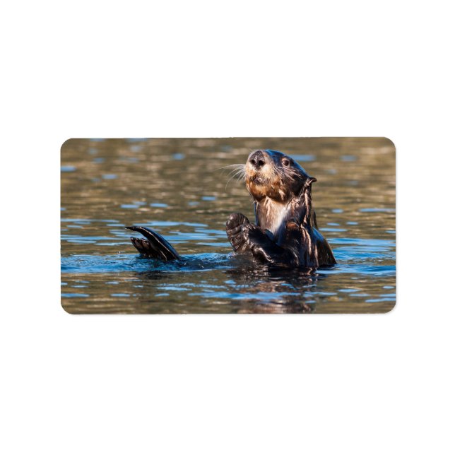 Sunny Sea Otter Adressetikett (Framsidan)