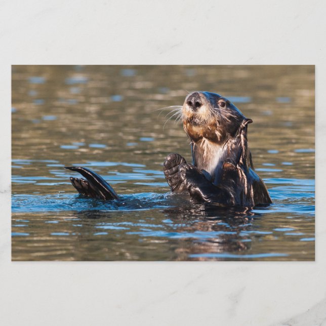 Sunny Sea Otter Brevpapper (Framsida)
