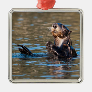 Sunny Sea Otter Julgransprydnad Metall