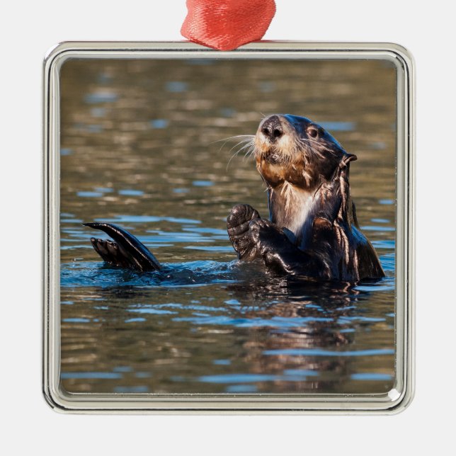Sunny Sea Otter Julgransprydnad Metall (Framsidan)