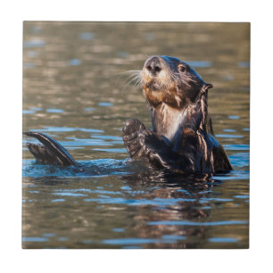 Sunny Sea Otter Kakelplatta