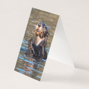 Sunny Sea Otter Kort