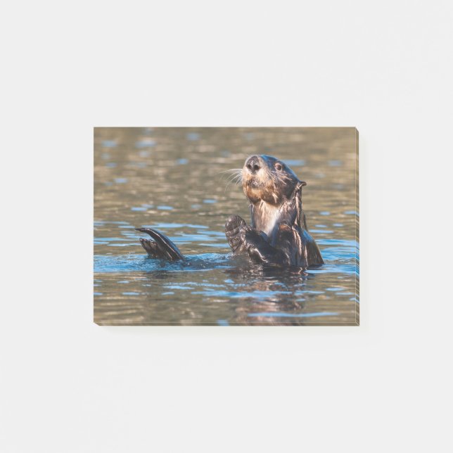 Sunny Sea Otter Post-it Block (Framsida)