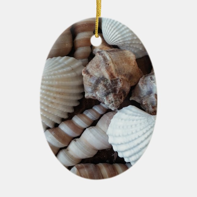 Sunny Seashells Collection Nature, sommar Julgransprydnad Keramik (Framsidan)