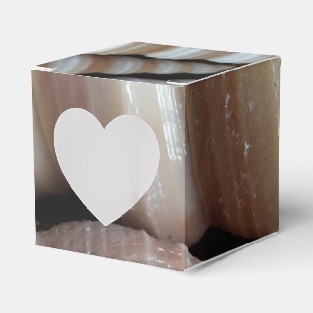 Sunny Seashells favoritbox, sommarklossbröllop Presentaskar (Framsidan Sidan)