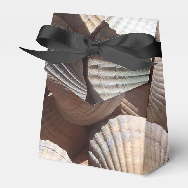 Sunny Seashells favoritbox, sommarklossbröllop Presentaskar (Framsidan Sidan)