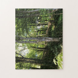 Sunny skogsplats. pussel