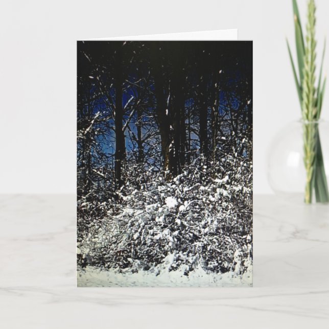 Sunny, snöig julgrensformad kort 5 x 7 (Framsida)