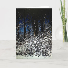 Sunny, snöig julgrensformad kort 5 x 7