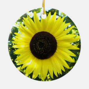 Sunny Solros Ornament