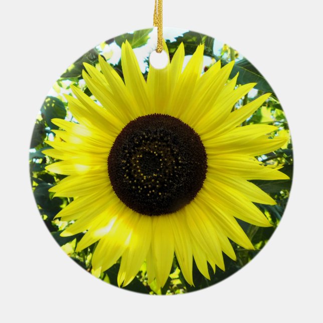 Sunny Solros Ornament (Baksidan)