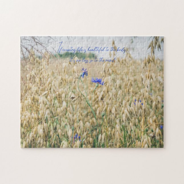 Sunny sommar fält pussel (Horisontell)