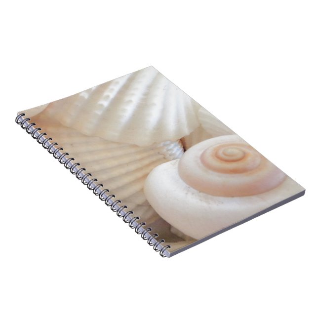 Sunny Summer Seashells Collection Anteckningsbok (Högra Sidan)