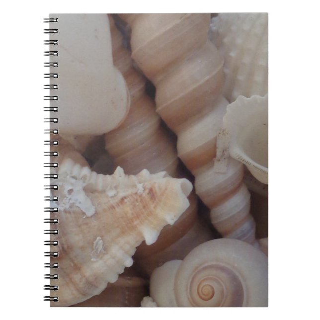 Sunny Summer Seashells, Sea Snäcka Beach Kärlek Anteckningsbok (Framsidan)
