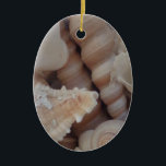 Sunny Summer Seashells, Sea Snäcka Beach Kärlek Julgransprydnad Keramik<br><div class="desc">Sunny Summer Seashells,  Sea Snäcka Beach Kärlek</div>