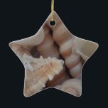 Sunny Summer Seashells, Sea Snäcka Beach Kärlek Julgransprydnad Keramik<br><div class="desc">Sunny Summer Seashells,  Sea Snäcka Beach Kärlek</div>