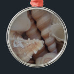 Sunny Summer Seashells, Sea Snäcka Beach Kärlek Julgransprydnad Metall<br><div class="desc">Sunny Summer Seashells,  Sea Snäcka Beach Kärlek</div>