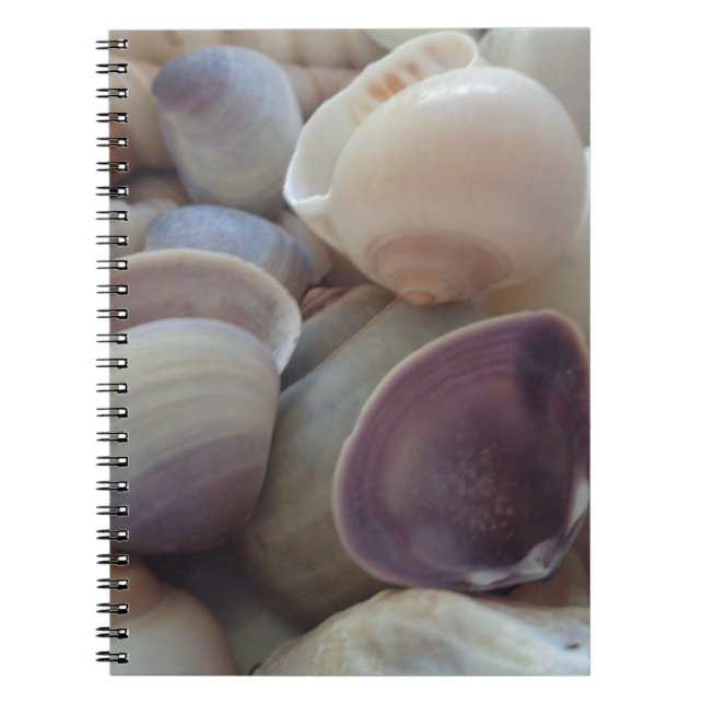 Sunny Summer Seashells, Sea Snäcka Beach Ocean Anteckningsbok Med Spiral (Framsidan)