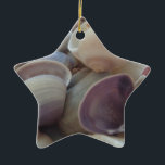 Sunny Summer Seashells, Sea Snäcka Beach Ocean Julgransprydnad Keramik<br><div class="desc">Sunny Summer Seashells,  Sea Snäcka Beach Ocean</div>