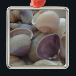 Sunny Summer Seashells, Sea Snäcka Beach Ocean Julgransprydnad Metall<br><div class="desc">Sunny Summer Seashells,  Sea Snäcka Beach Ocean</div>