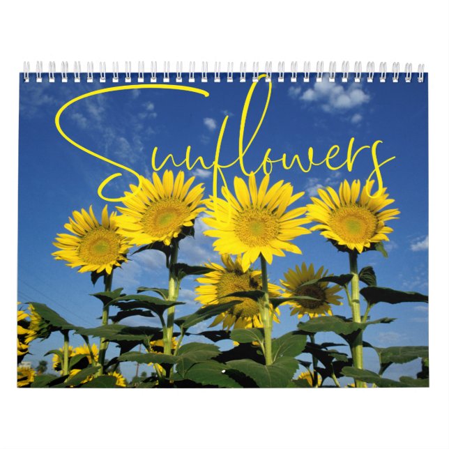Sunny Sunblommor Blommigt Calendar Kalender (Omslag)