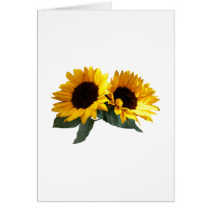 Sunny Sunblommor Hälsningskort