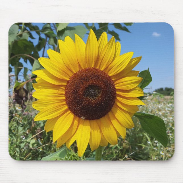 Sunny Sunflower Musmatta (Framsidan)
