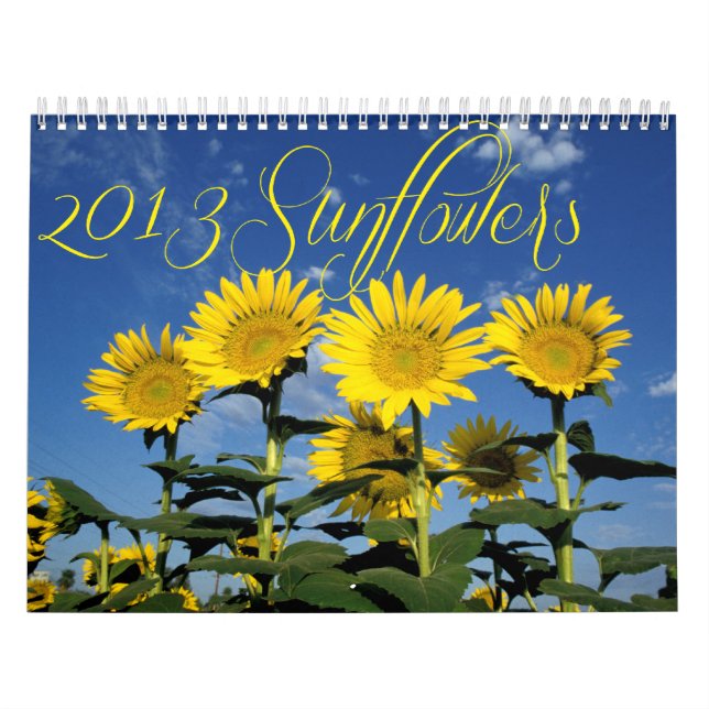 Sunny Sunwers 2013 Calendar Kalender (Omslag)