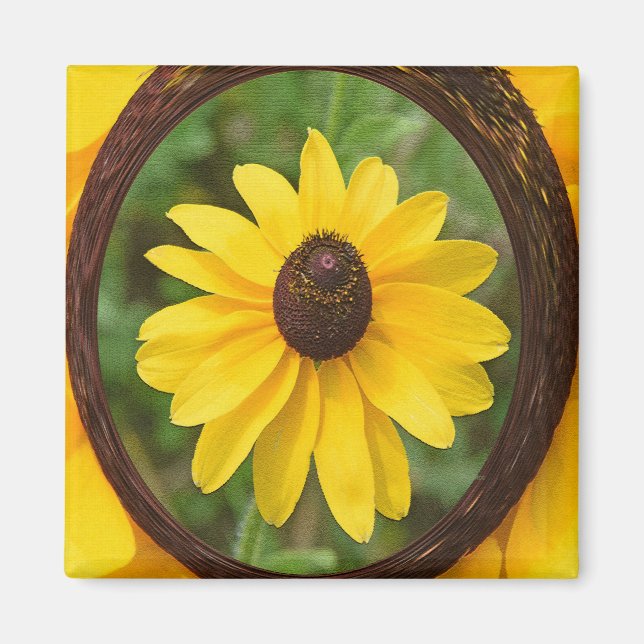 Sunny Susan... Magnet (Framsidan)