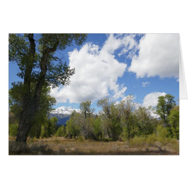 Sunny View of Grand Teton Mountain Hälsningskort (Framsidan Horizontal)