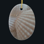 Sunny White Seashells, Sea Snäcka Beach Summer Kär Julgransprydnad Keramik<br><div class="desc">Sunny White Seashells,  Sea Snäcka Beach Summer Kärlek</div>