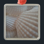 Sunny White Seashells, Sea Snäcka Beach Summer Kär Julgransprydnad Metall<br><div class="desc">Sunny White Seashells,  Sea Snäcka Beach Summer Kärlek</div>