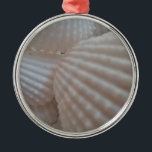 Sunny White Seashells, Sea Snäcka Beach Summer Kär Julgransprydnad Metall<br><div class="desc">Sunny White Seashells,  Sea Snäcka Beach Summer Kärlek</div>