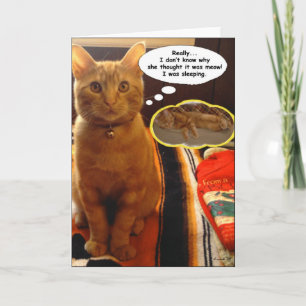 SunnyBoy Cat Thinking and Sleeping Card Helgkort
