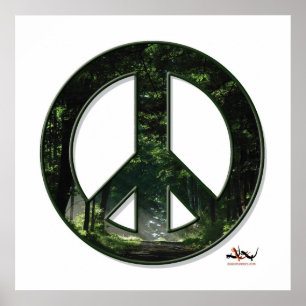 Sunpeace affisch