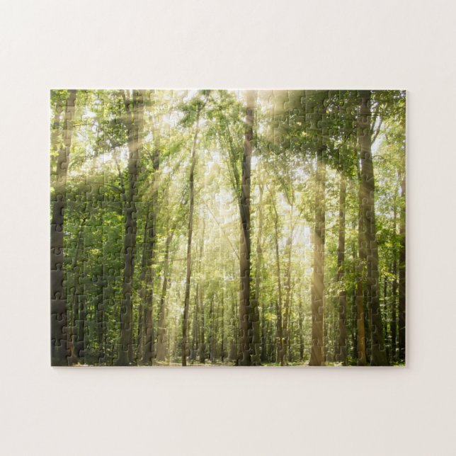 Sunrays till och med Treetops Pussel (Horisontell)