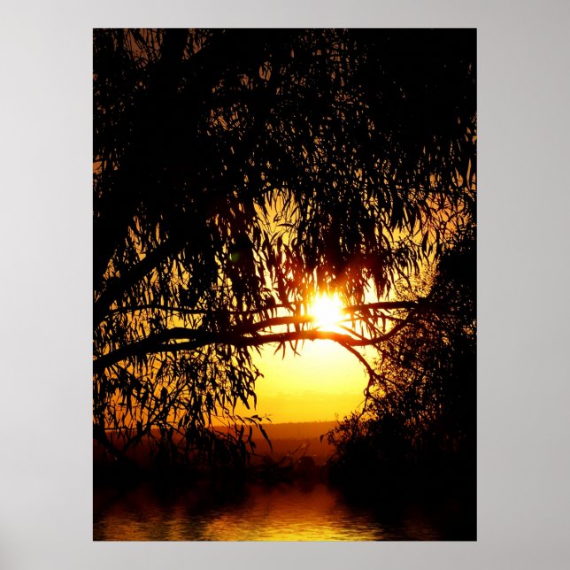 Sunrealism: Ferntree Gully Poster (Framsidan)