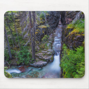 Sunrift Gorge i Glacier National Park, Montana Musmatta