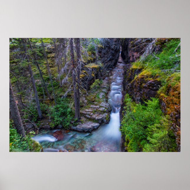 Sunrift Gorge in Glacier National Park Montana Poster (Framsidan)