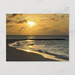 Sunrise Beach Vykort