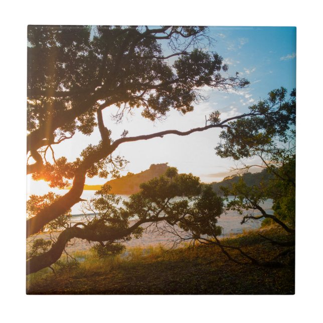 Sunrise Coromandel strandparadis Nya Zeeland Kakelplatta (Framsidan)
