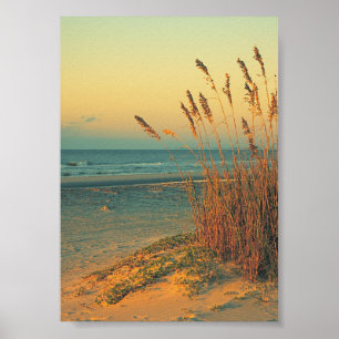 Sunrise Florida Beach Grass Poster Skriv ut