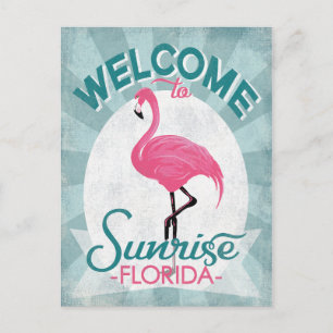 Sunrise Florida Rosa Flamingo Retro Vykort