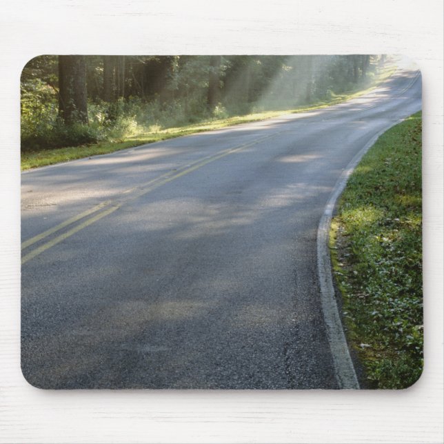 Sunrise genom dimma bredvid Grönten Musmatta (Framsidan)