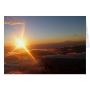 Sunrise Joy OBS Kort