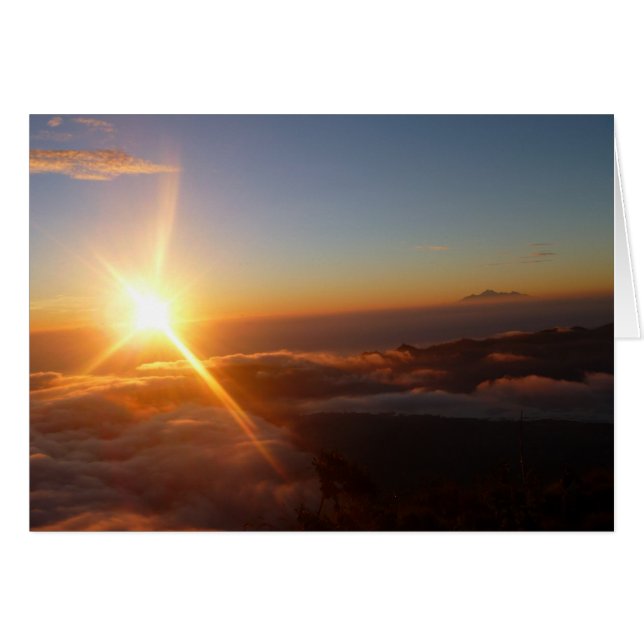 Sunrise Joy OBS Kort (Framsidan Horizontal)