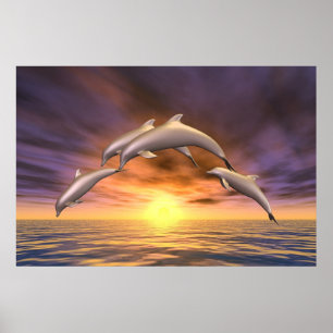 Sunrise Jump Poster