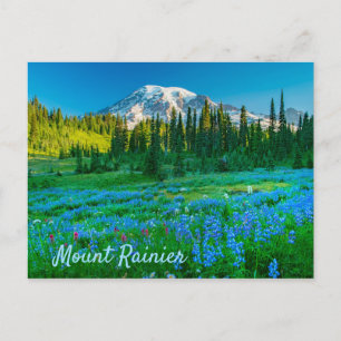 Sunrise Lupine och Mount Rainer Vykort