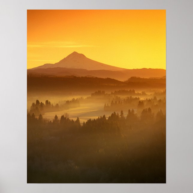 Sunrise orange färg dimman i dalen i poster (Framsidan)